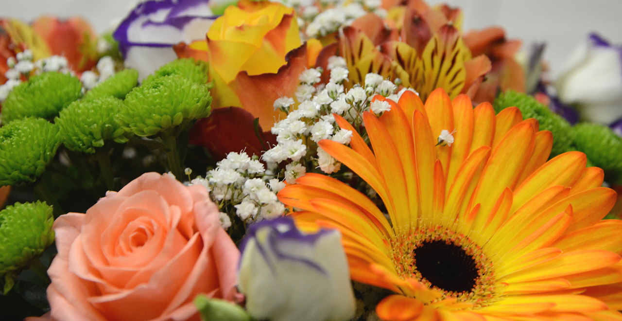 Nahaufnahme eines bunten Blumenstraußes mit Rosen, Gerbera, Schleierkraut und Chrysanthemen.