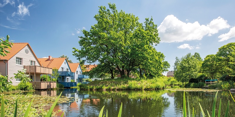 Sommerliche Ferienanlage mit Teich und grünen Bäumen bei Sonnenschein mit dem Titel “LINDA Gewinnspiel - Traumurlaub für die ganze Familie” undem Logo der LINDA Apotheken und BEECH Resort Fleesensee.