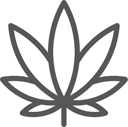 Cannabistherapie Beratung